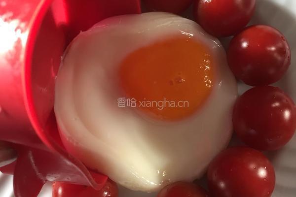 圣女果太阳花的做法图解7