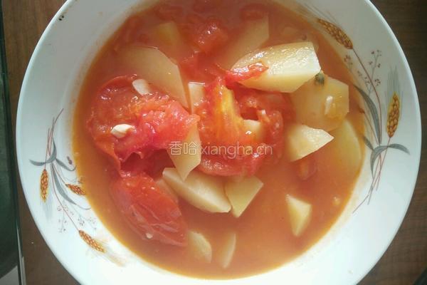 番茄土豆汤的做法图解5