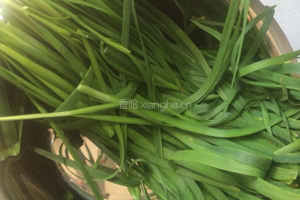 韭菜鸡蛋发面饺子的做法图解2