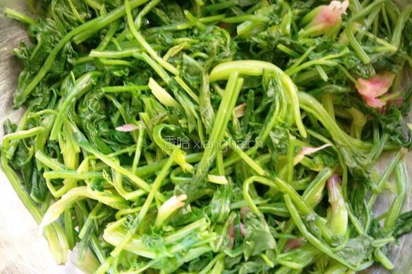 香辣菠菜（家庭版）的做法图解7