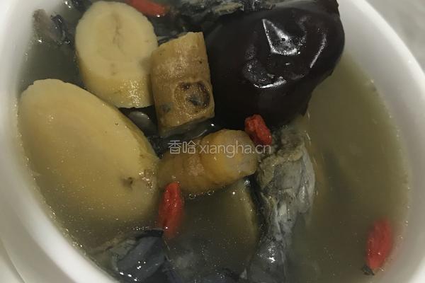滋补药膳汤的做法图解3