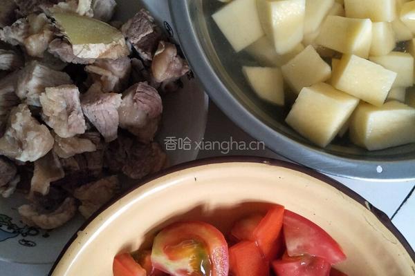 番茄土豆炖牛腩的做法图解1