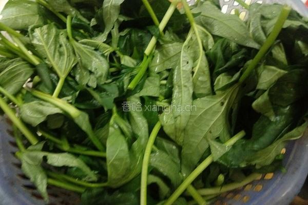 蒜香红薯叶的做法图解1