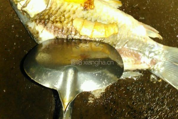 木瓜鲫鱼汤的做法图解5