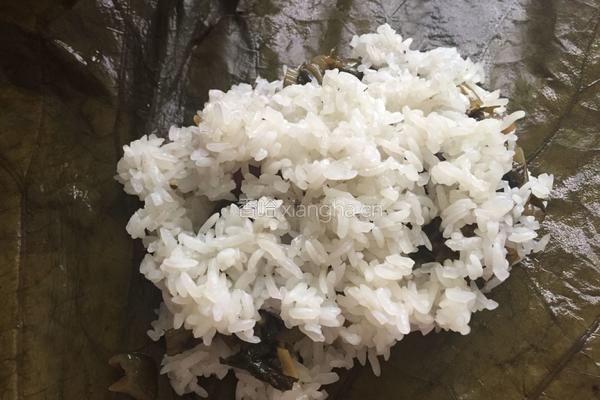 葱菜牛肉糯米鸡的做法图解6