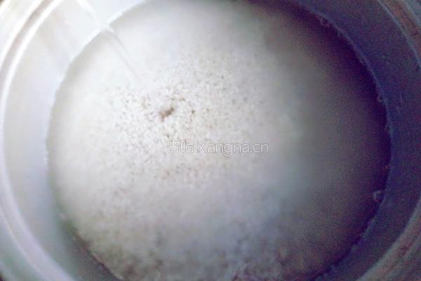 醪糟(糯米酒)的做法图解2