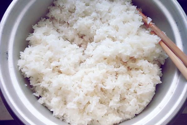 醪糟(糯米酒)的做法图解10