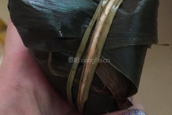 五月粽子的做法图解19