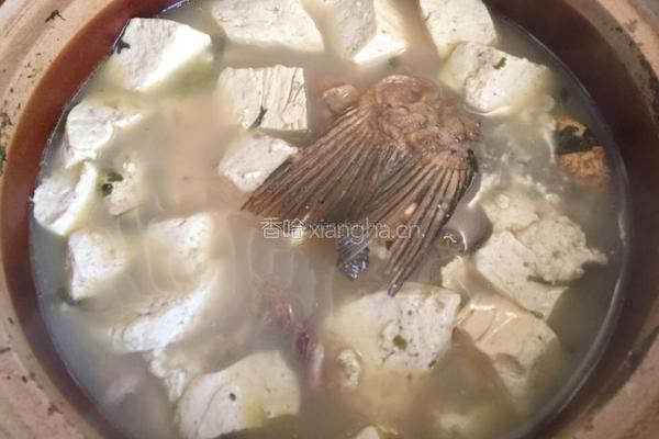 鲤鱼豆腐汤的做法图解6
