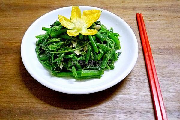 蒜香南瓜苗