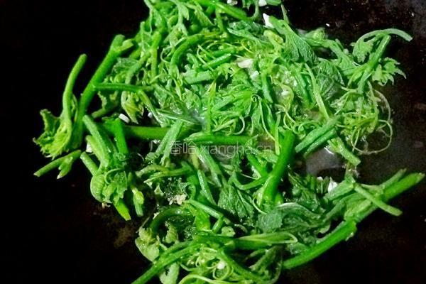 蒜香南瓜苗的做法图解8