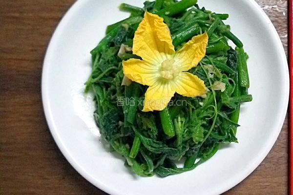 蒜香南瓜苗的做法图解9