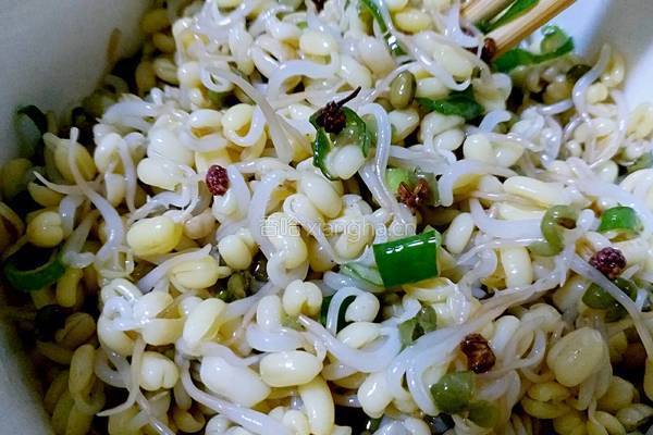 绿豆芽（自己泡发最健康）的做法图解13