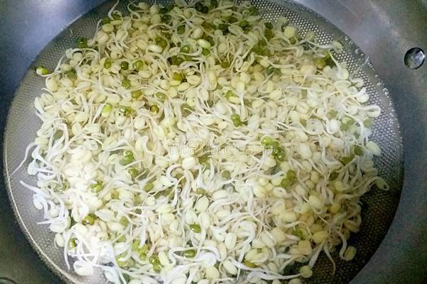 麻香绿豆芽的做法图解2