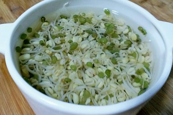 麻香绿豆芽的做法图解3