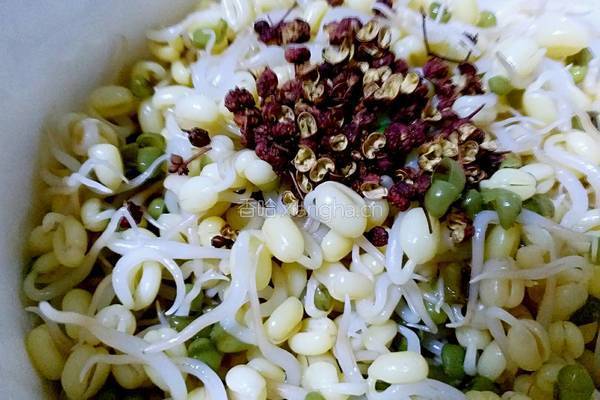 麻香绿豆芽的做法图解4