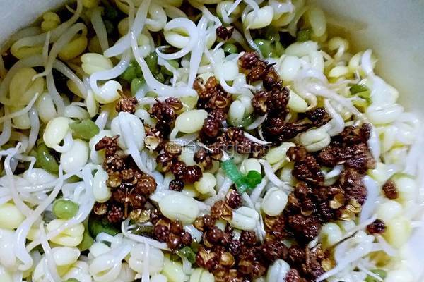麻香绿豆芽的做法图解6