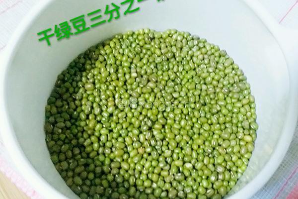 绿豆芽（自己泡发最健康）的做法图解4