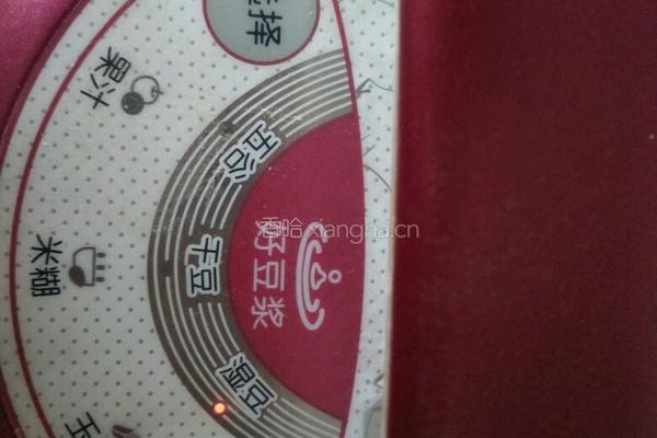 自制花生露的做法图解5