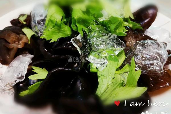 冰镇木耳芹菜