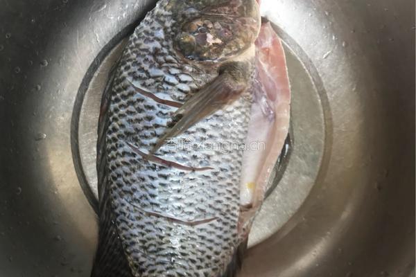 老妈泡菜鱼的做法图解1