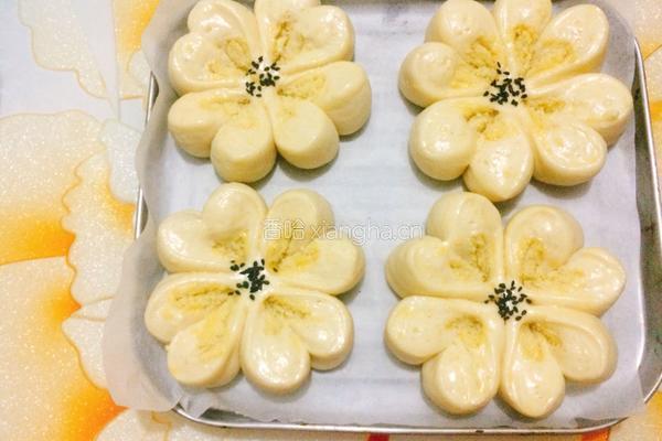 椰蓉花形面包的做法图解17