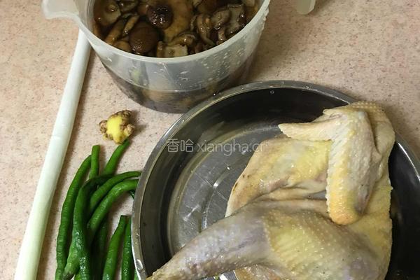 野生菌烧鸡的做法图解1