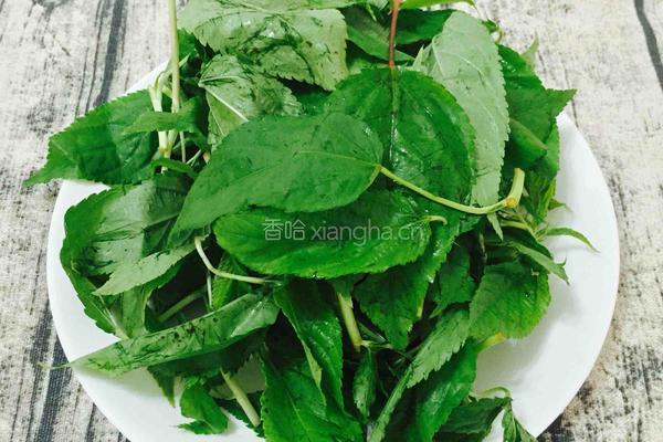 客家擂茶（改良版）的做法图解3