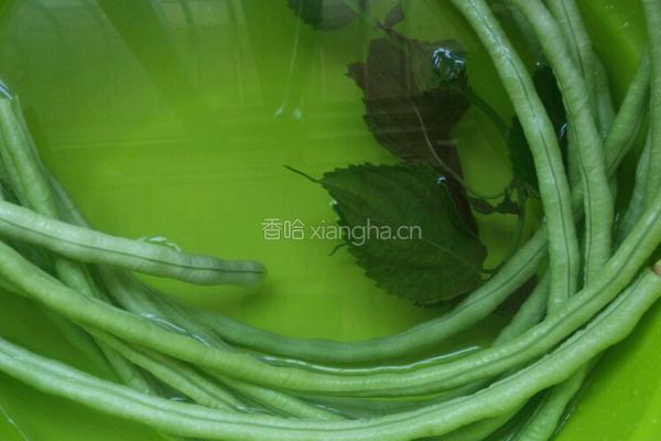 紫苏豆豉炒豆角的做法图解1