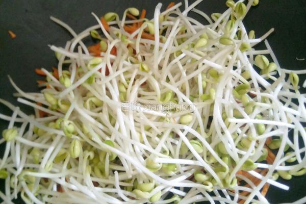 斋炒河粉的做法图解5