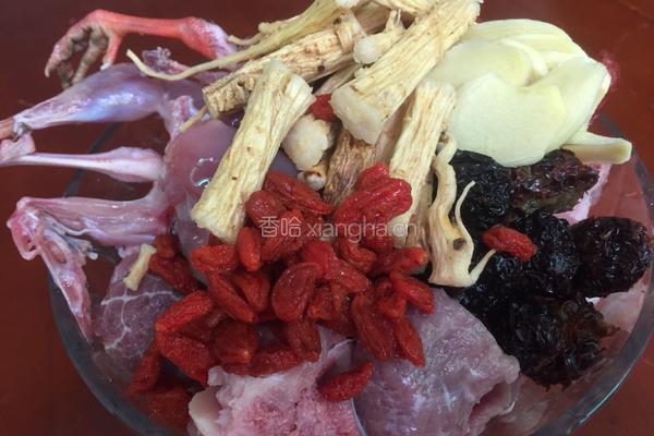 鸽子骨头汤的做法图解4