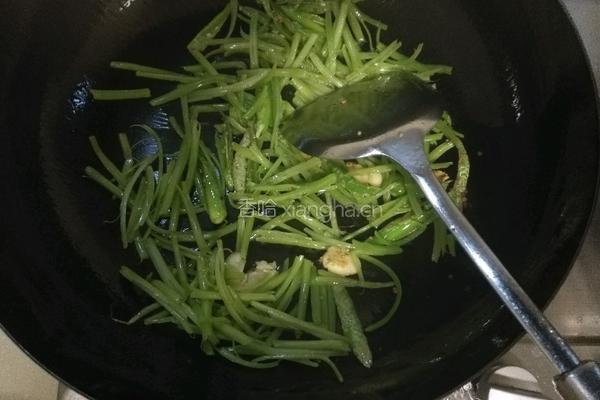 尖椒炒南瓜花的做法图解4