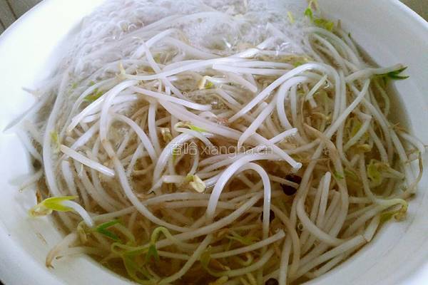 凉拌绿豆芽的做法图解4