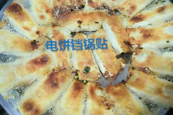 电饼铛 锅贴的做法图解14