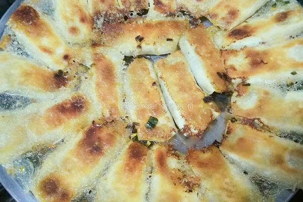 电饼铛 锅贴的做法图解15