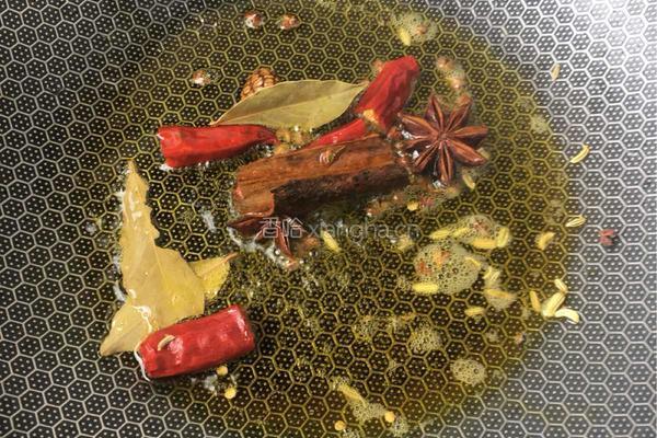 红焖羊肉的做法图解4