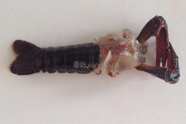 十三香小龙虾的做法图解2