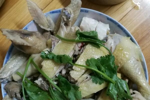 白切鸡的做法图解21