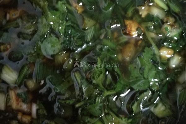 白切鸡的做法图解17