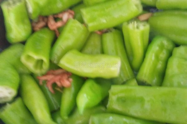 辣椒粉条炒猪肉的做法图解4