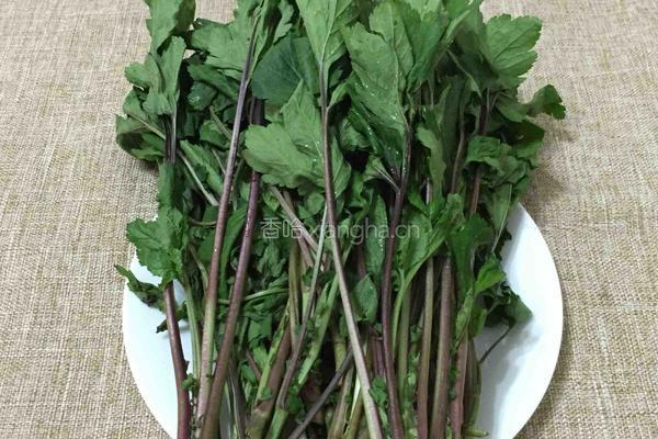 鲍鱼瘦肉珍珠花菜汤的做法图解1