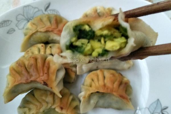 锅贴饺的做法图解17