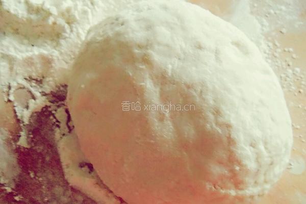 家常豆角饺子的做法图解1