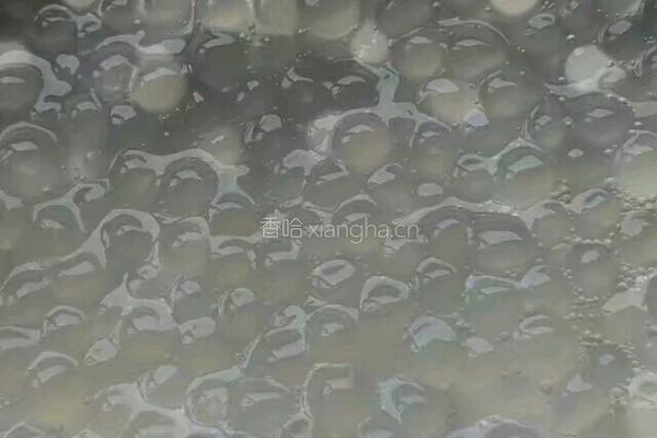 牛奶西米露的做法图解2