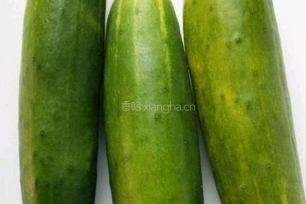 虾皮炒黄瓜的做法图解1