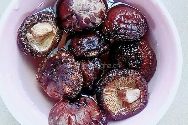 小鸡炖香菇的做法图解3