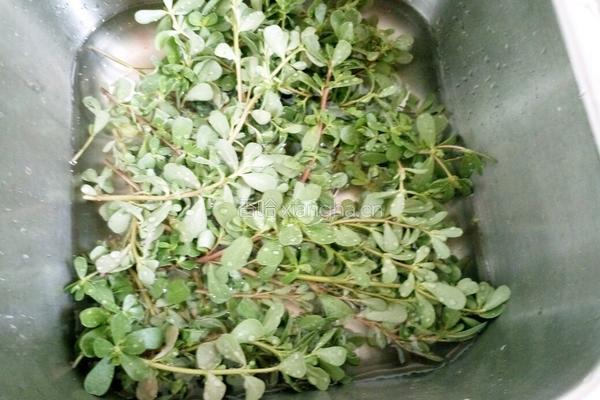 凉拌马牙菜的做法图解2