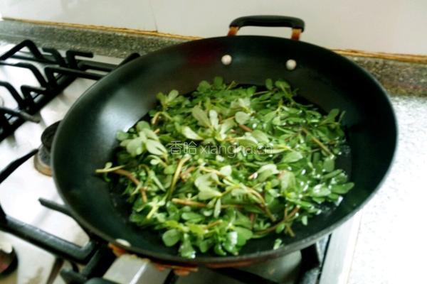凉拌马牙菜的做法图解3