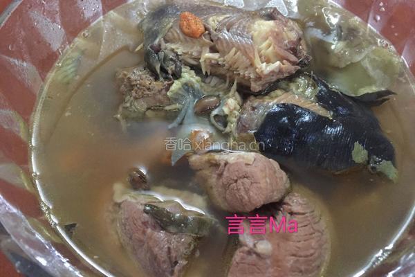 塘虱鱼瘦肉汤的做法图解7