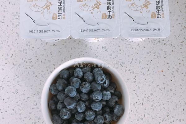 蓝莓炒酸奶的做法图解1